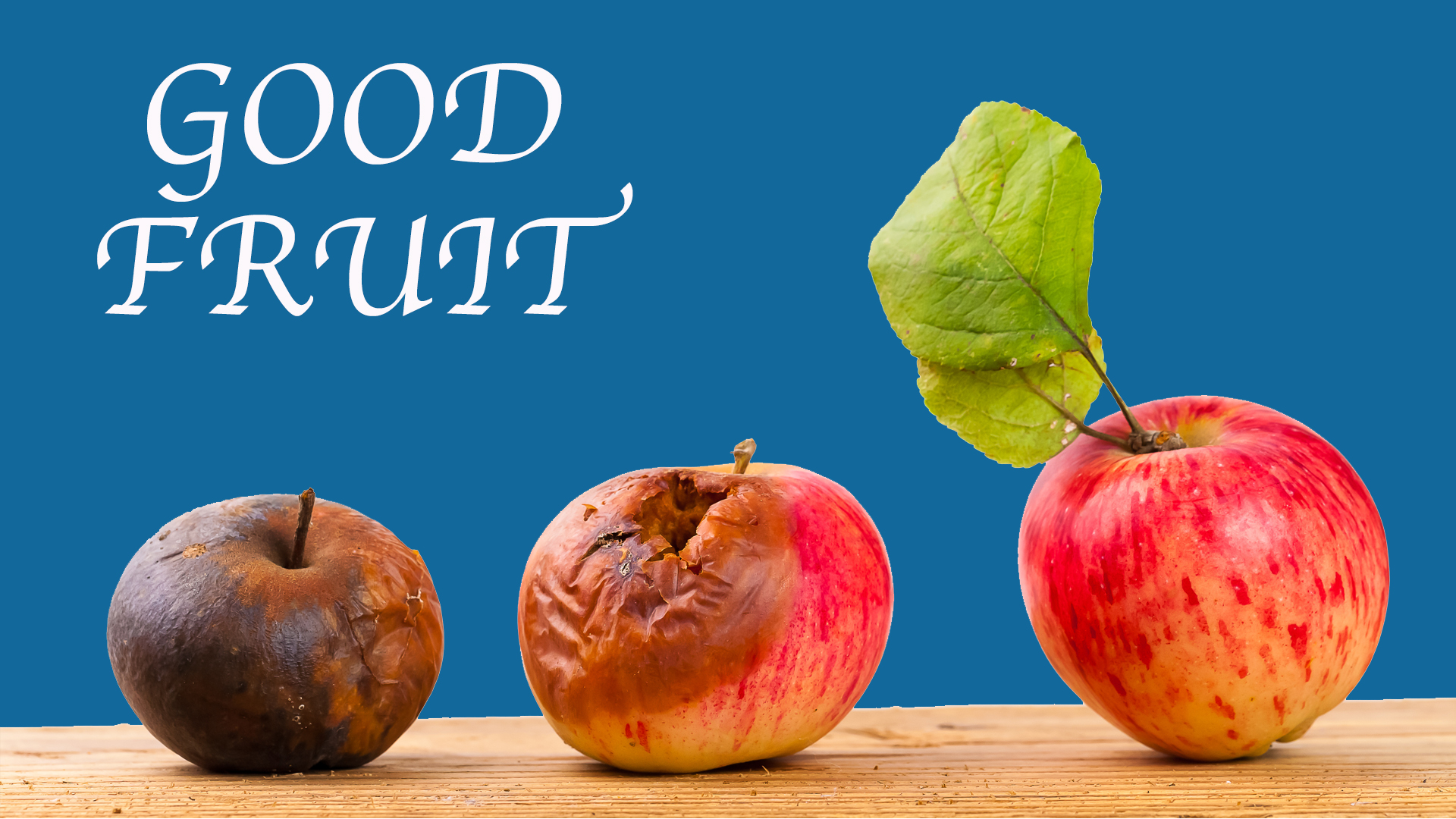 Good Fruit ~ Week 6 of 6 ~ Gentleness and Self-control